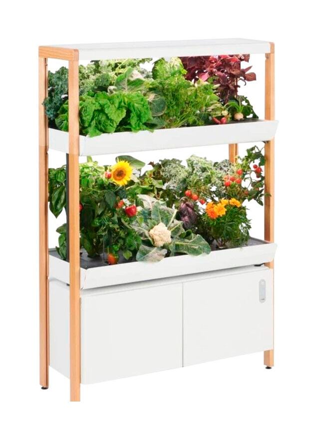 Double Rise Garden Cloud 2134755